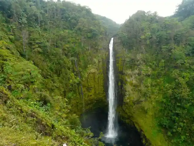 Akaka Falls State Park