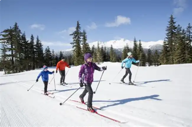 Cross-Country Skiing