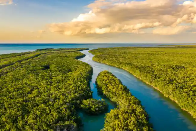 Explore what to wear for a day in the Everglades, from lightweight clothing to sturdy footwear, for a comfortable, safe adventure






