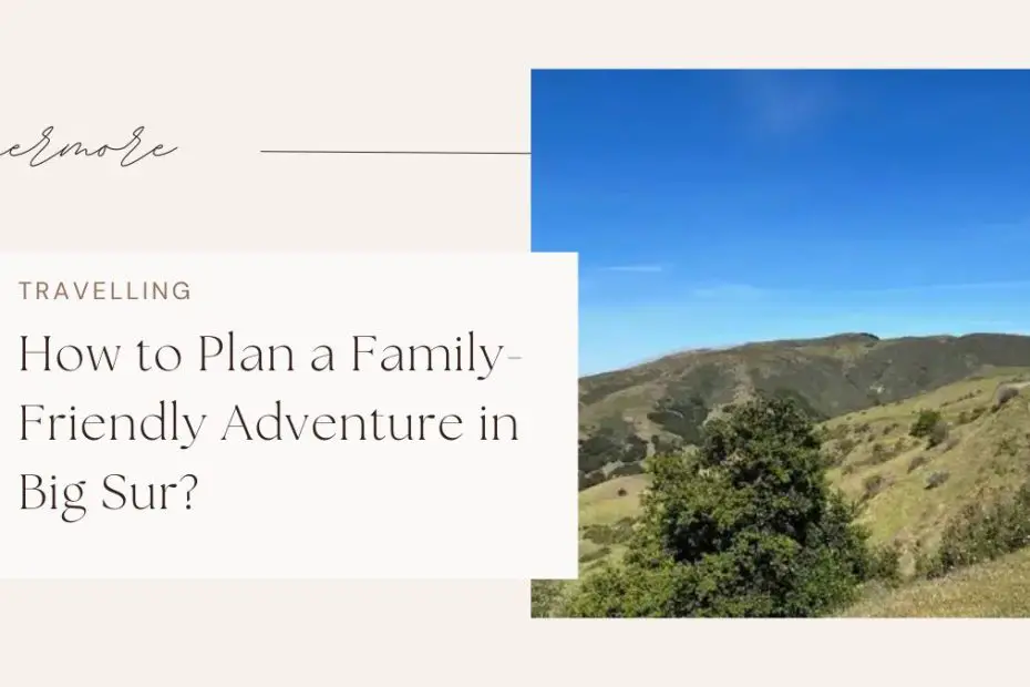 How to Plan a Family-Friendly Adventure in Big Sur?