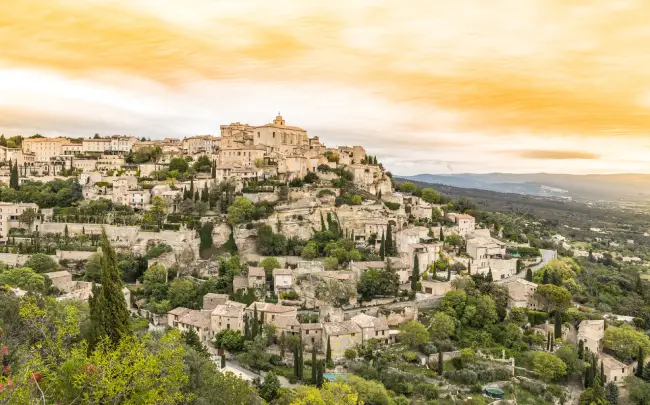 Lavender Fields of Luberon