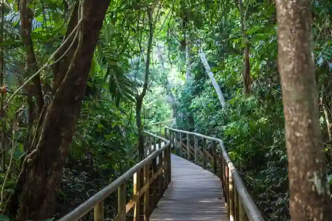 Manuel Antonio National Park