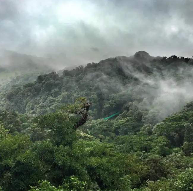 Monteverde Cloud Forest