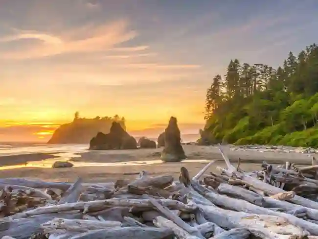 Olympic National Park