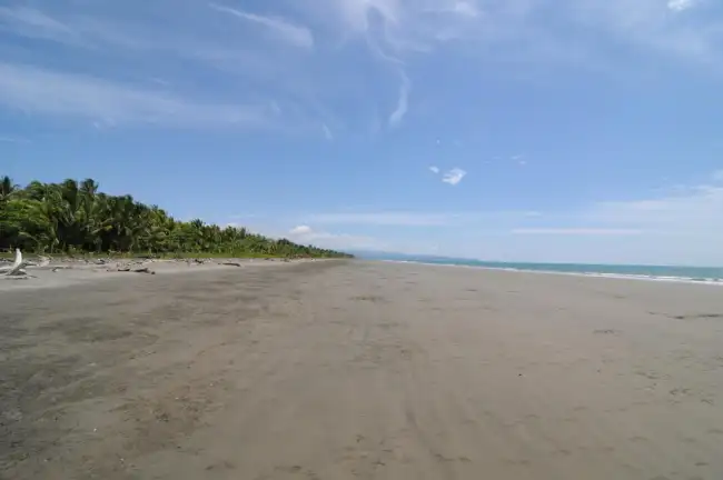 Playa Zancudo