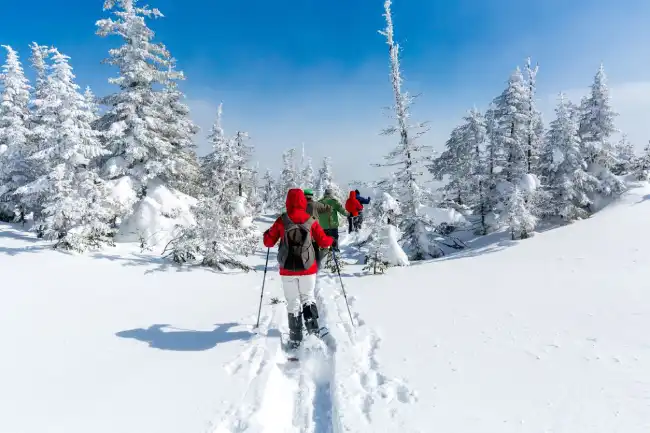 Snowshoeing