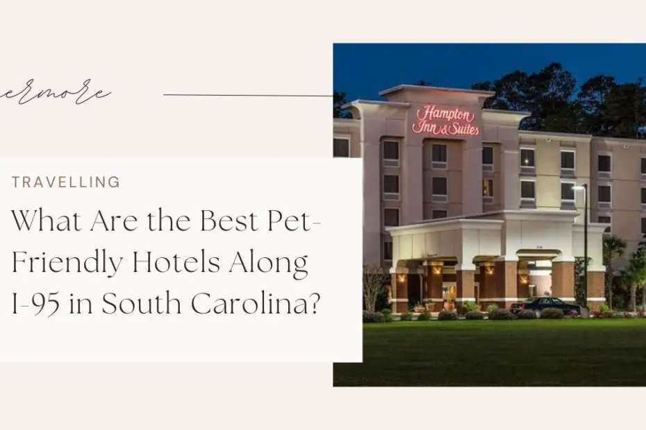 What Are the Best Pet-Friendly Hotels Along I-95 in South Carolina?