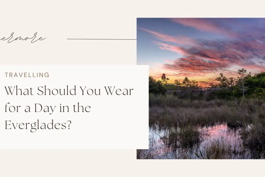 What Should You Wear for a Day in the Everglades?