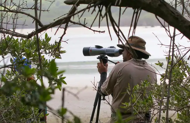 Wildlife Observation