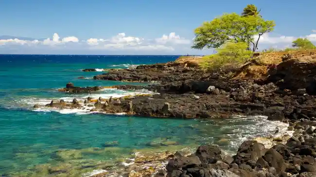 scenic Kohala Coast